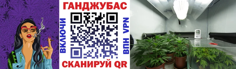 Где найти наркотики Людиново Марихуана Alpha-PVP Гашиш