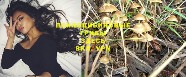 бошки Верхний Тагил